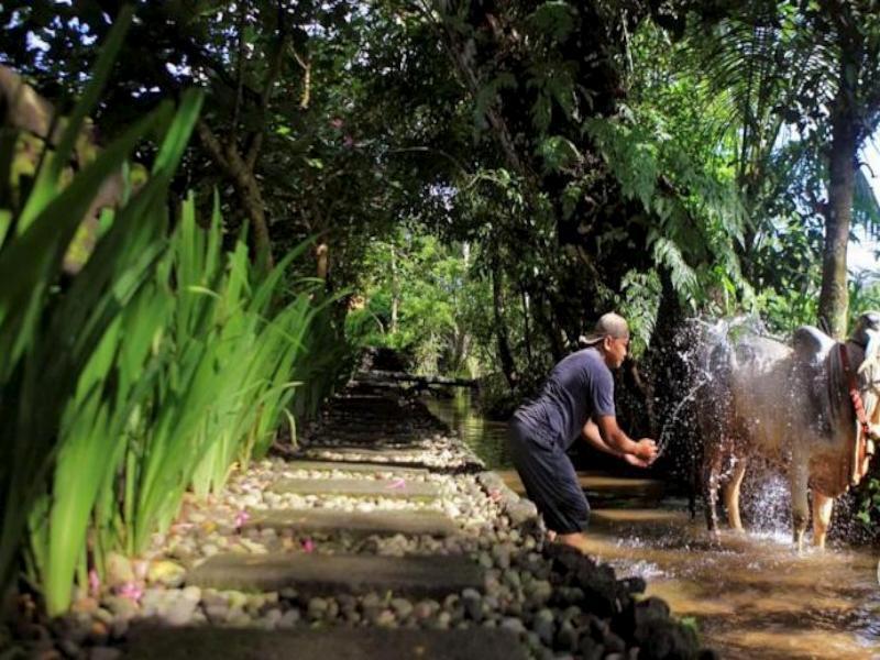 Khayangan Resort Yogyakarta Bagian luar foto